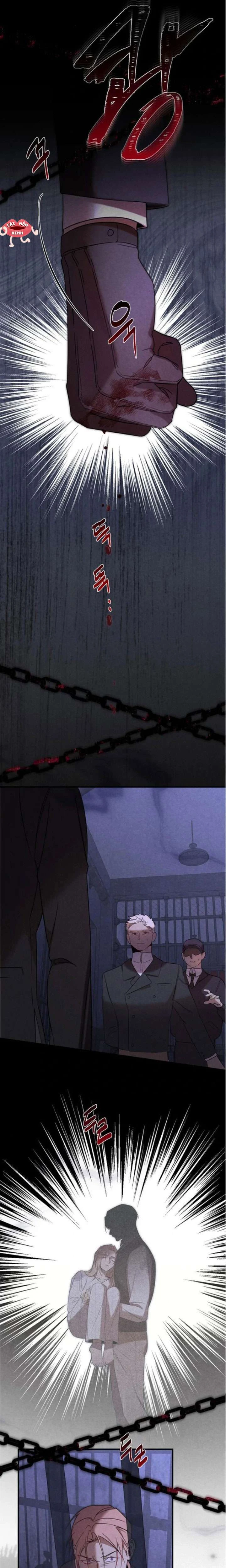 Nơi Đóa Hồng Vàng Úa Tàn Chapter  23 - 21