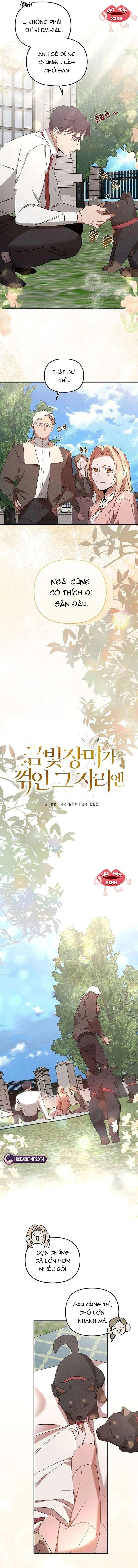 Nơi Đóa Hồng Vàng Úa Tàn Chapter 25 - 3