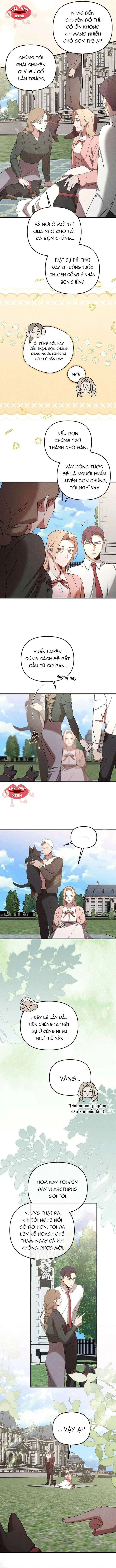 Nơi Đóa Hồng Vàng Úa Tàn Chapter 25 - 4