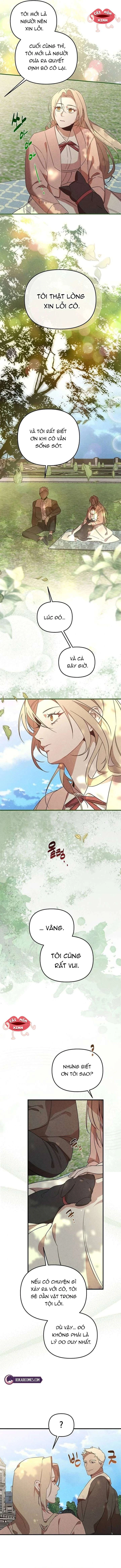 Nơi Đóa Hồng Vàng Úa Tàn Chapter 25 - 6