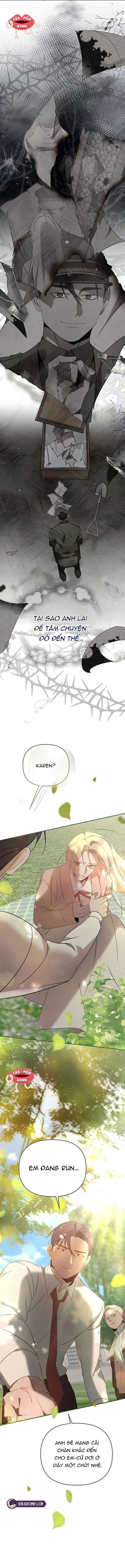 Nơi Đóa Hồng Vàng Úa Tàn Chapter 25 - 11