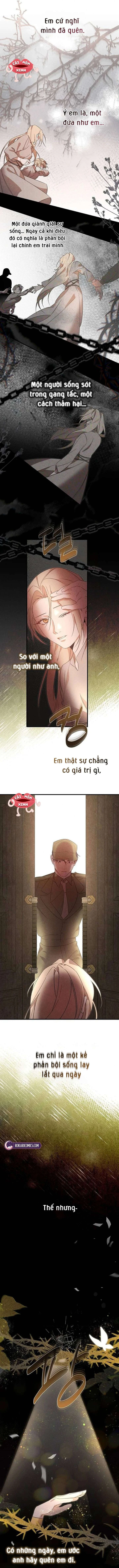 Nơi Đóa Hồng Vàng Úa Tàn Chapter 25 - 12