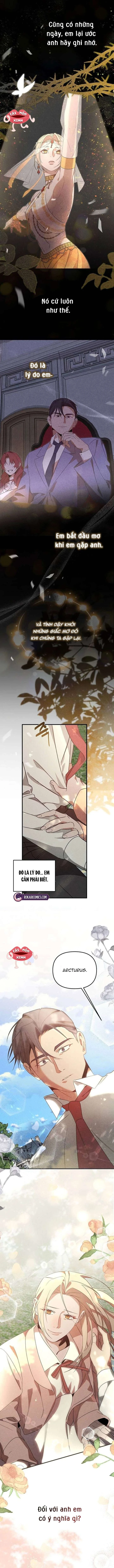 Nơi Đóa Hồng Vàng Úa Tàn Chapter 25 - 13