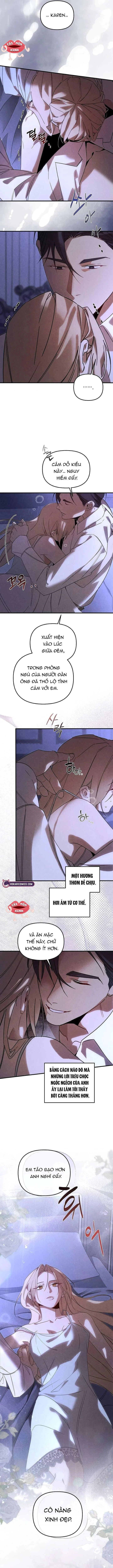 Nơi Đóa Hồng Vàng Úa Tàn Chapter 26 - 12