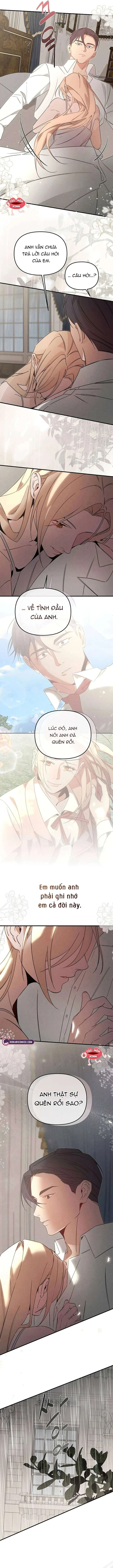 Nơi Đóa Hồng Vàng Úa Tàn Chapter 27 - 11