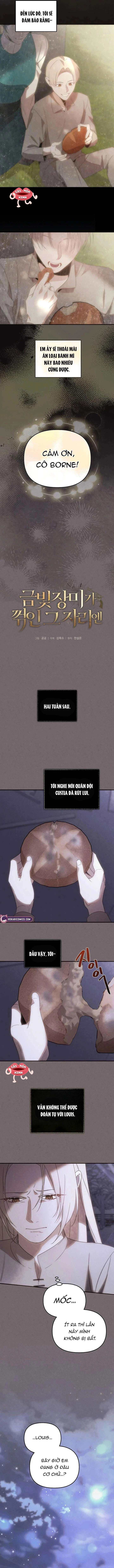 Nơi Đóa Hồng Vàng Úa Tàn Chapter 28 - 5