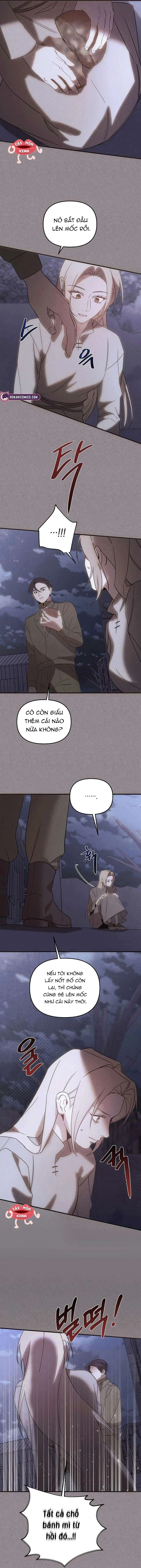 Nơi Đóa Hồng Vàng Úa Tàn Chapter 28 - 8