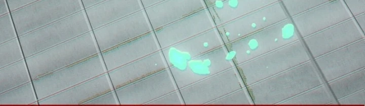 Huyền Giám Tiên Tộc Chapter 13 - 110