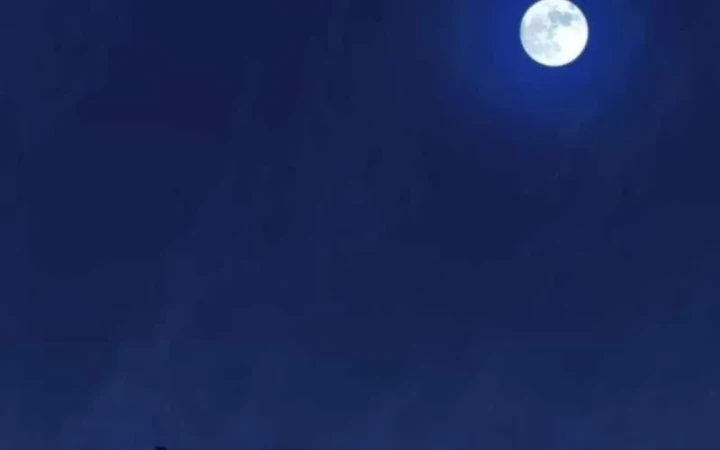 Siêu Anh Hùng Black Briday Chapter 12 - 3