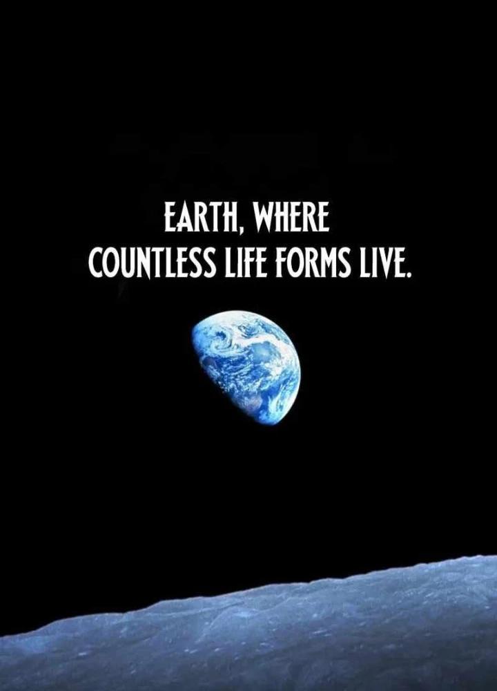 Siêu Anh Hùng Black Briday Chapter 14 - 87