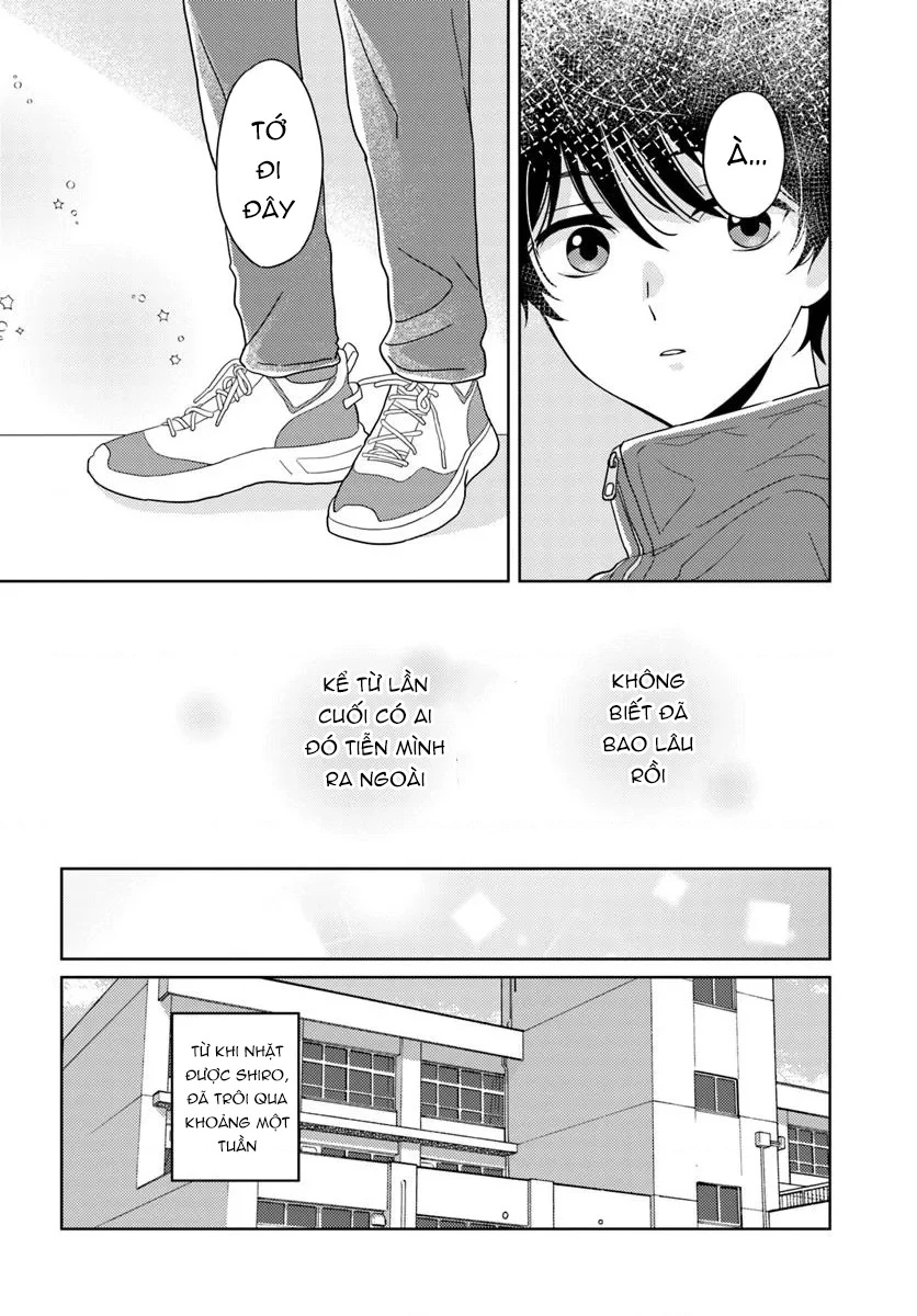 Tôi Kẻ Số Hai Và Cô Gái Số Một Chapter 3.1 - 12