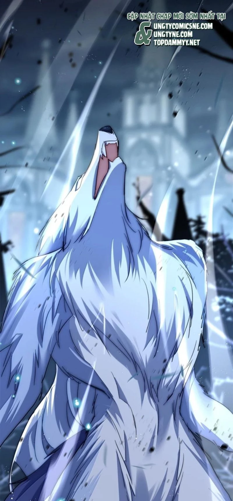 Lồng Tuyết Chapter 68 - 29