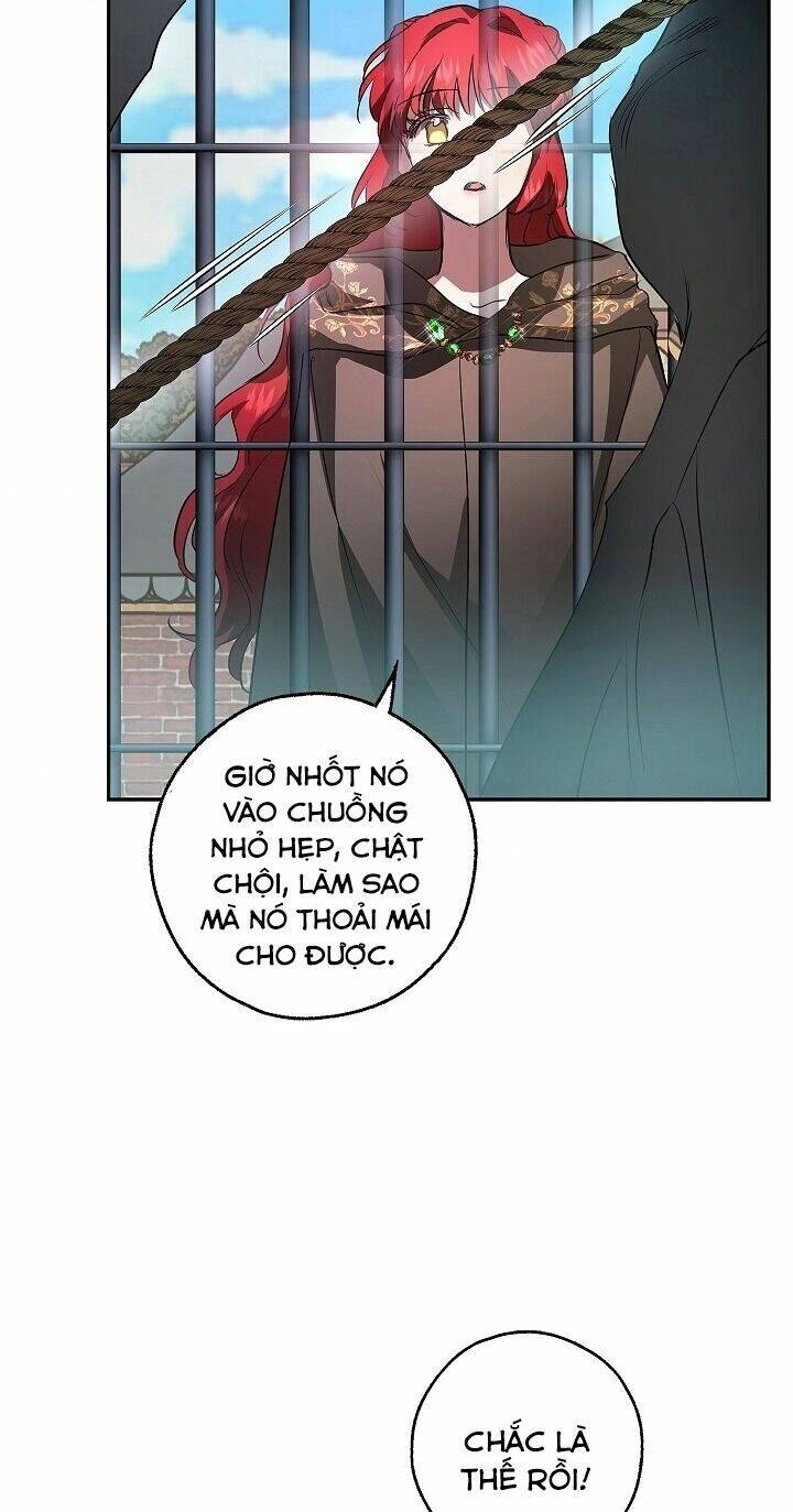 Hôn Phu Ẩn Sắc Chapter 21 - 34