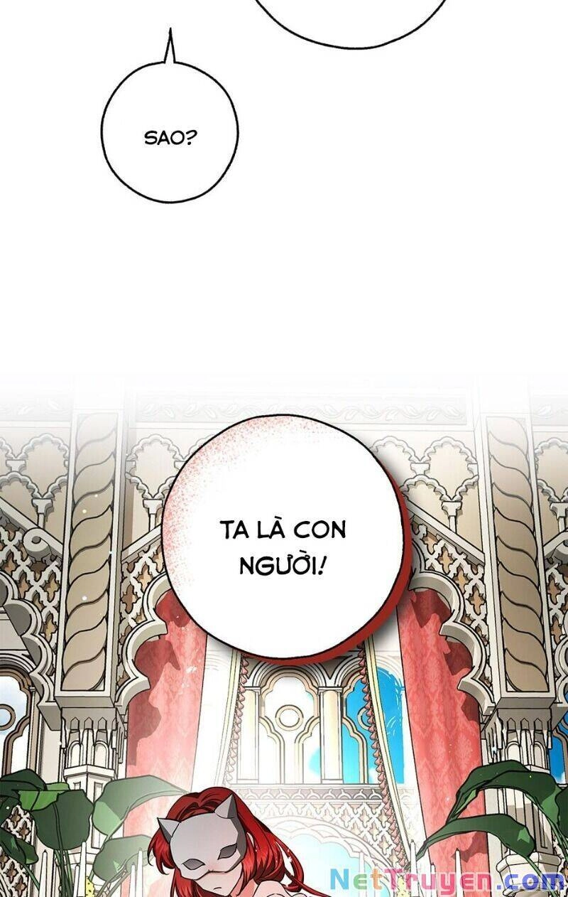 Hôn Phu Ẩn Sắc Chapter 39 - 11