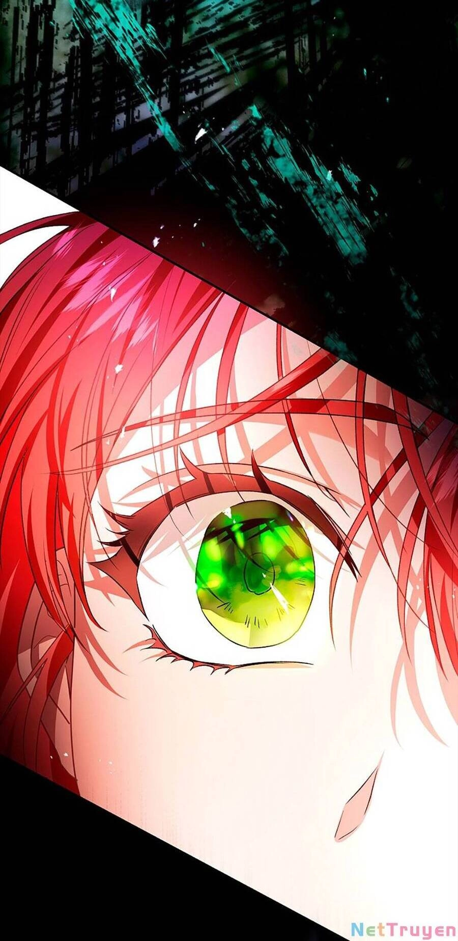 Hôn Phu Ẩn Sắc Chapter 94.2 - 35