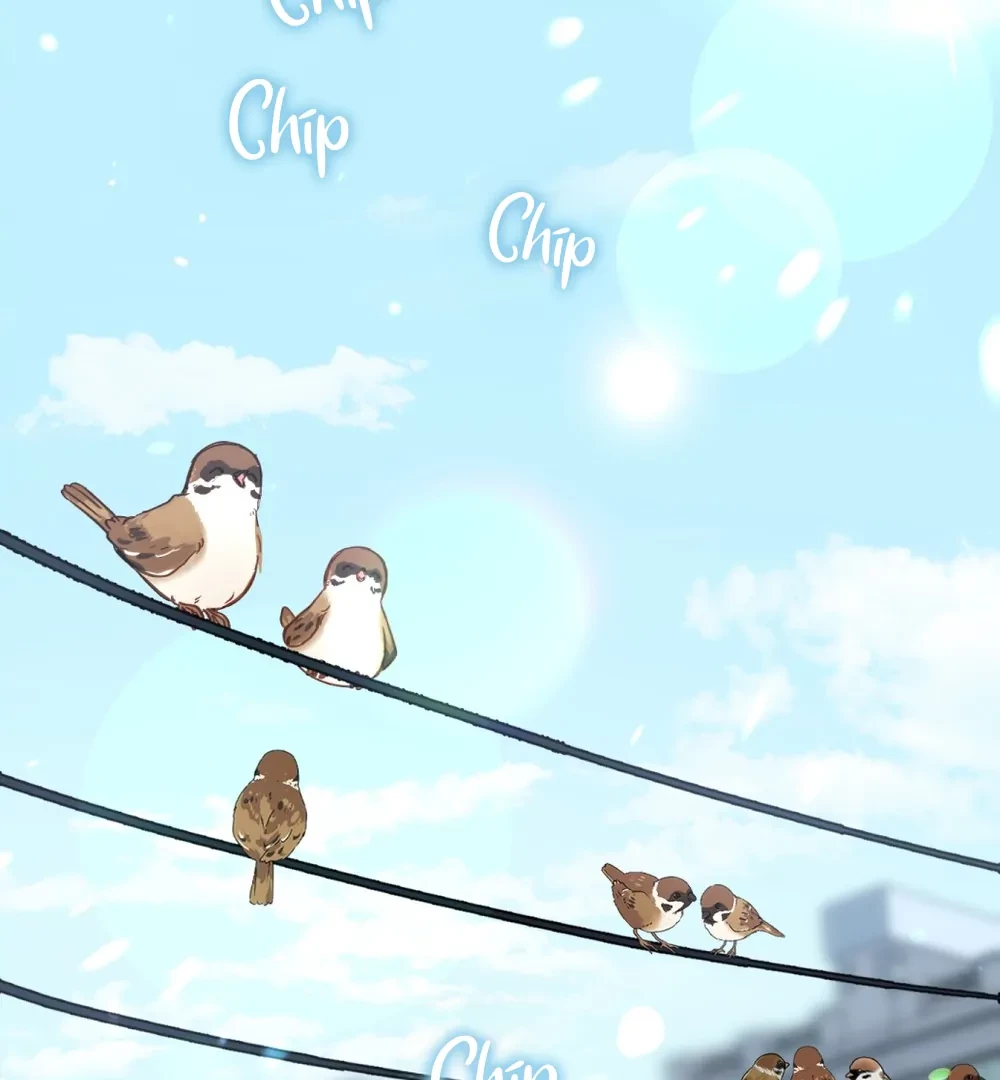 Tiền Bối Đó Chapter 9 - 11