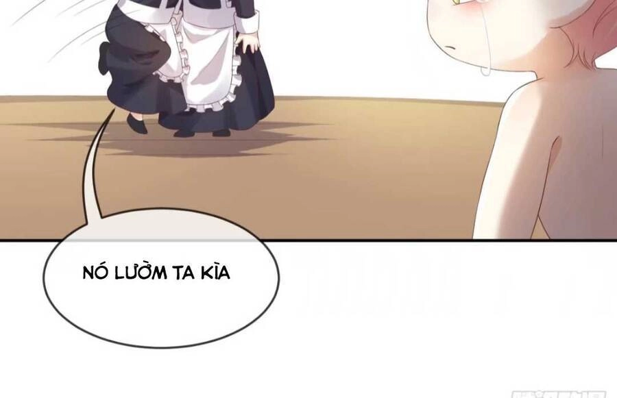 Ba Ba Đại Nhân ! Con Không Phải Là Nữ Phụ Ác Độc ! Chapter 4 - 10