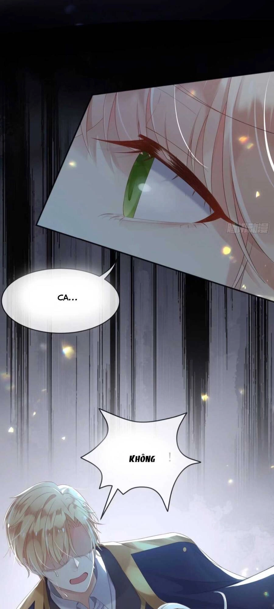 Ba Ba Đại Nhân ! Con Không Phải Là Nữ Phụ Ác Độc ! Chapter 4 - 28