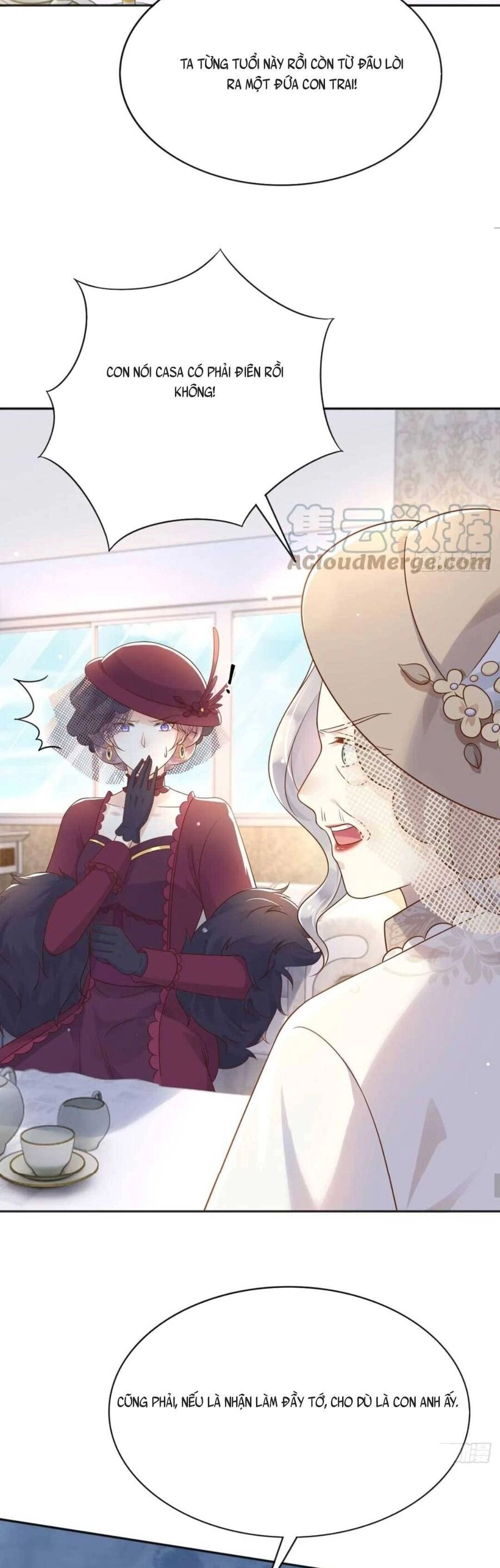 Ba Ba Đại Nhân ! Con Không Phải Là Nữ Phụ Ác Độc ! Chapter 39 - 13