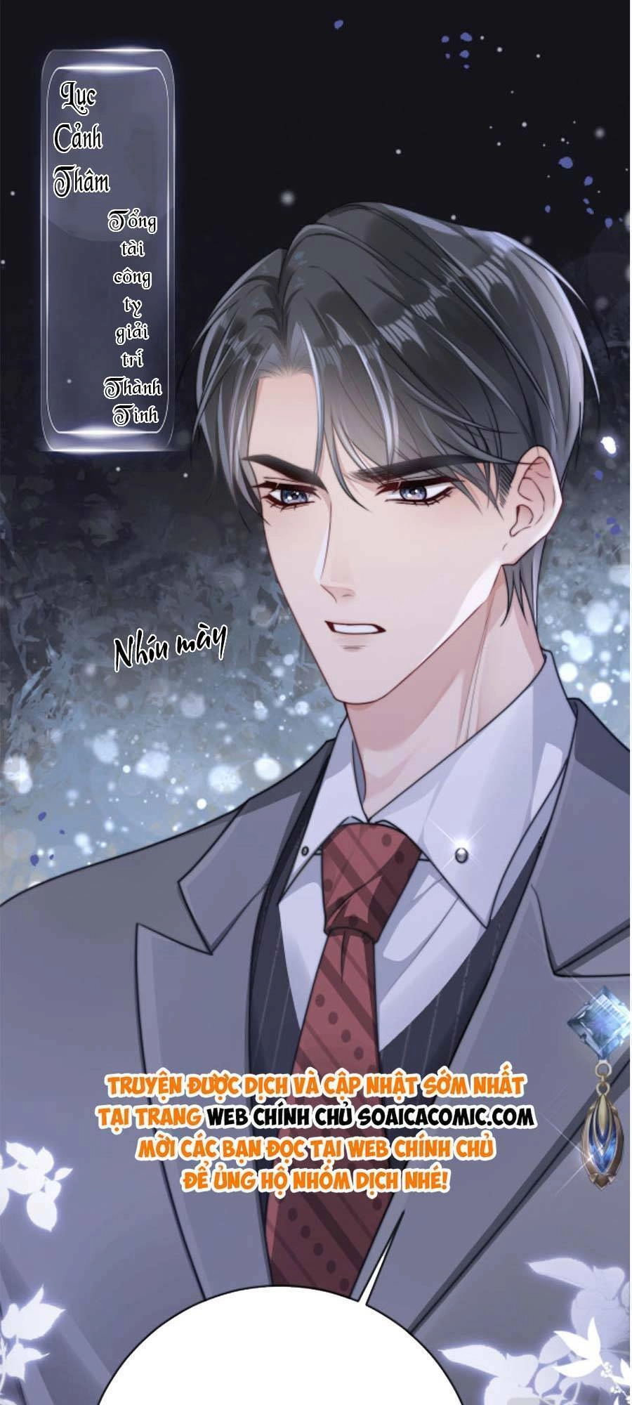 Lục Tổng Theo Đuổi Vợ Hậu Chia Tay Chapter 1 - 23