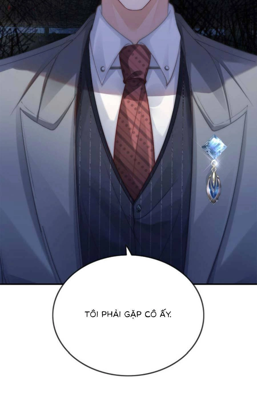 Lục Tổng Theo Đuổi Vợ Hậu Chia Tay Chapter 3 - 13