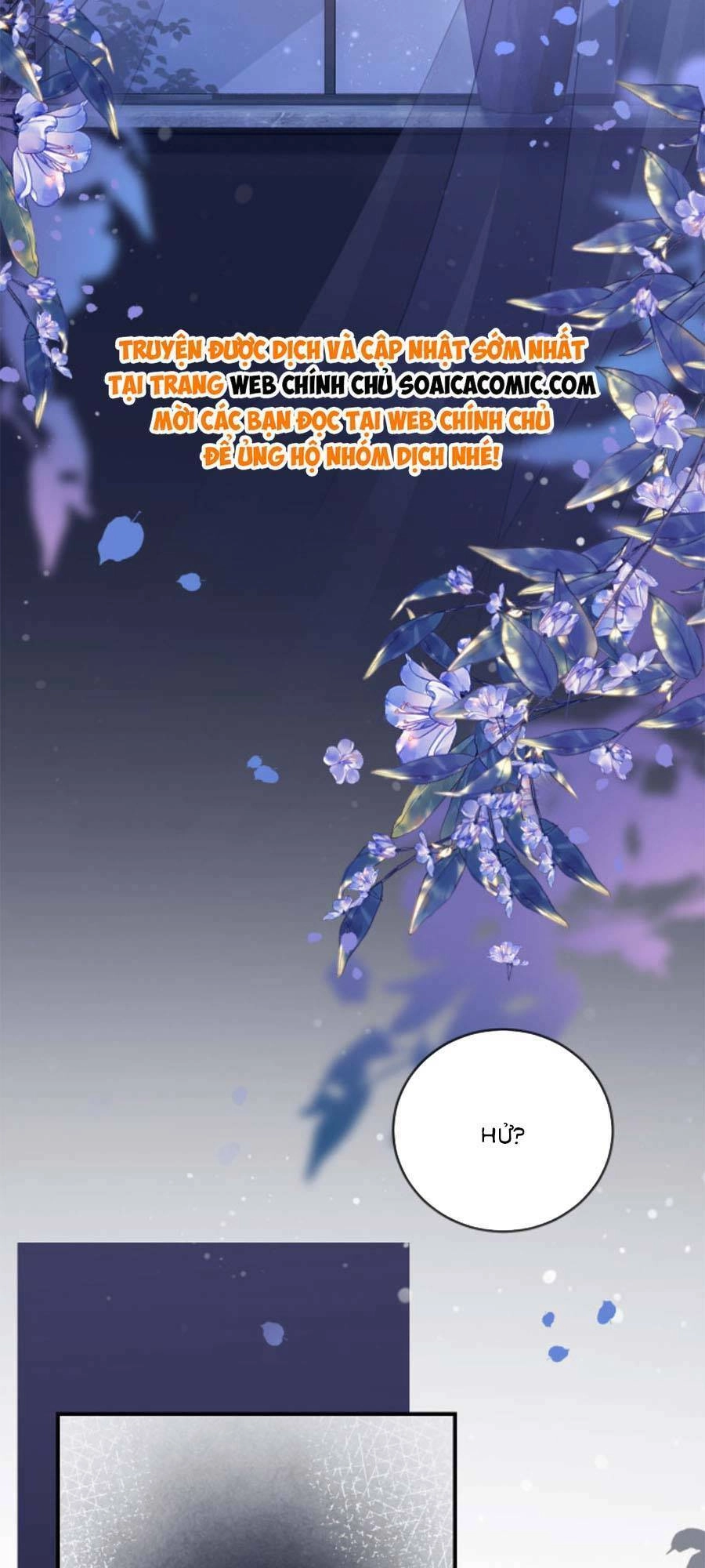 Lục Tổng Theo Đuổi Vợ Hậu Chia Tay Chapter 5 - 2