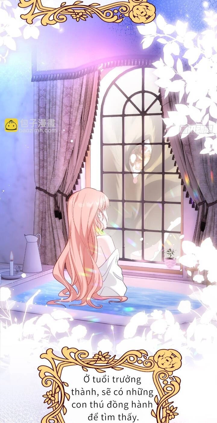 Trở Thành Đoàn Sủng Về Sau, Ta Đại Sát Tứ Phương Chapter 1 - 35