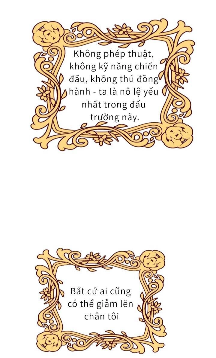 Trở Thành Đoàn Sủng Về Sau, Ta Đại Sát Tứ Phương Chapter 1 - 40