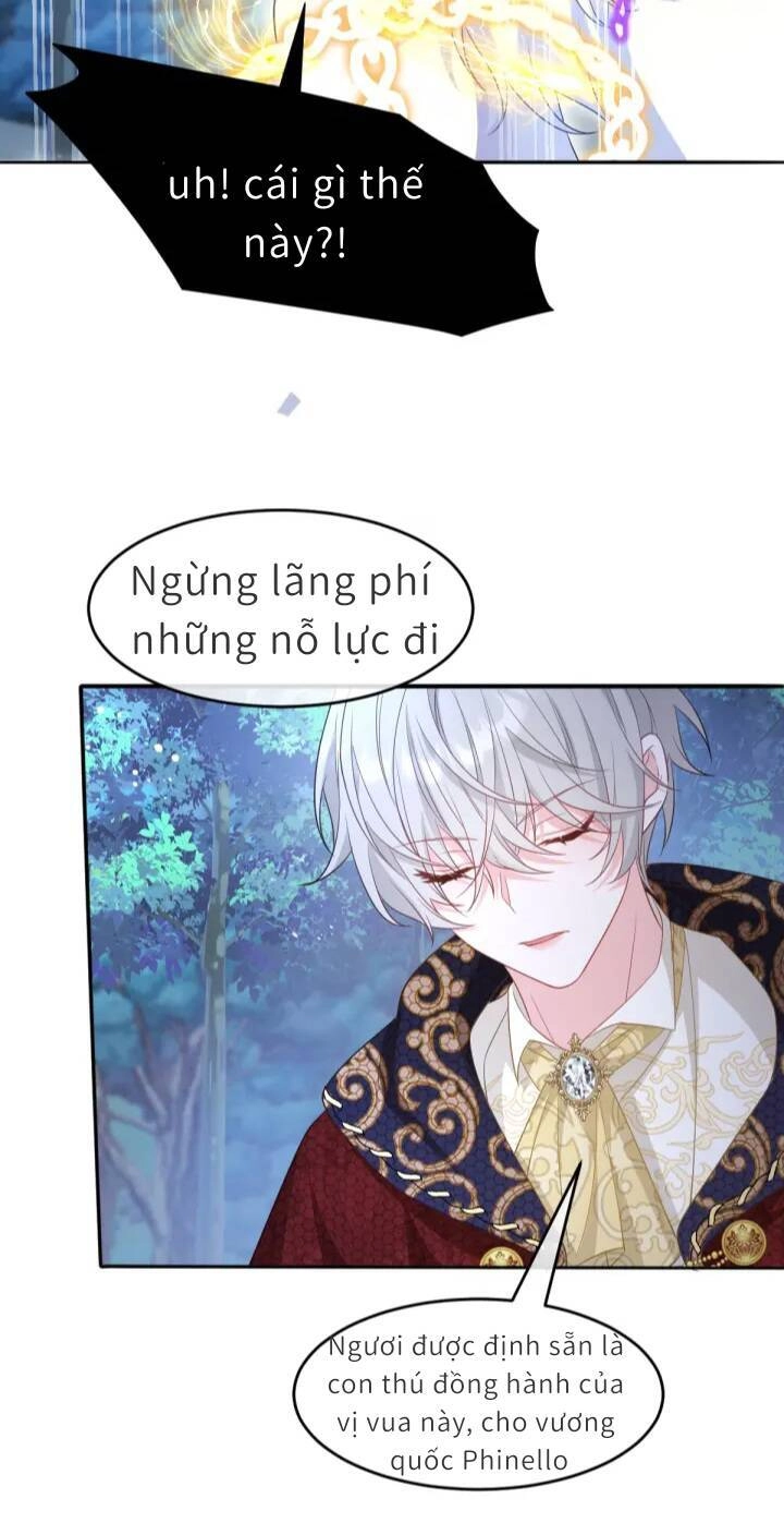 Trở Thành Đoàn Sủng Về Sau, Ta Đại Sát Tứ Phương Chapter 3 - 29