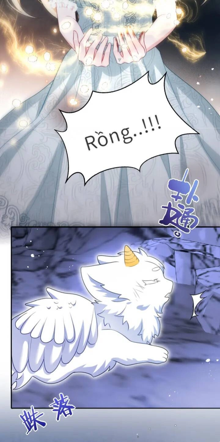 Trở Thành Đoàn Sủng Về Sau, Ta Đại Sát Tứ Phương Chapter 4 - 40