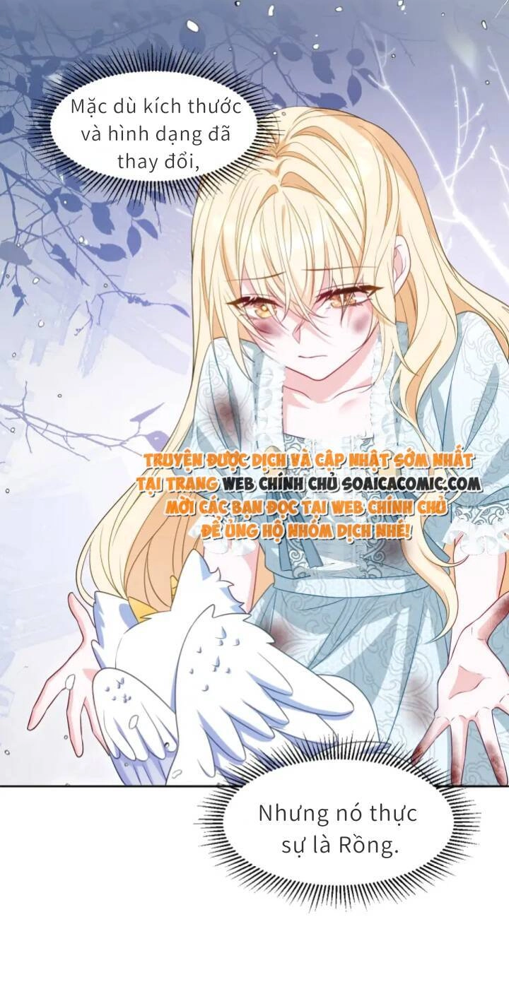 Trở Thành Đoàn Sủng Về Sau, Ta Đại Sát Tứ Phương Chapter 4 - 41