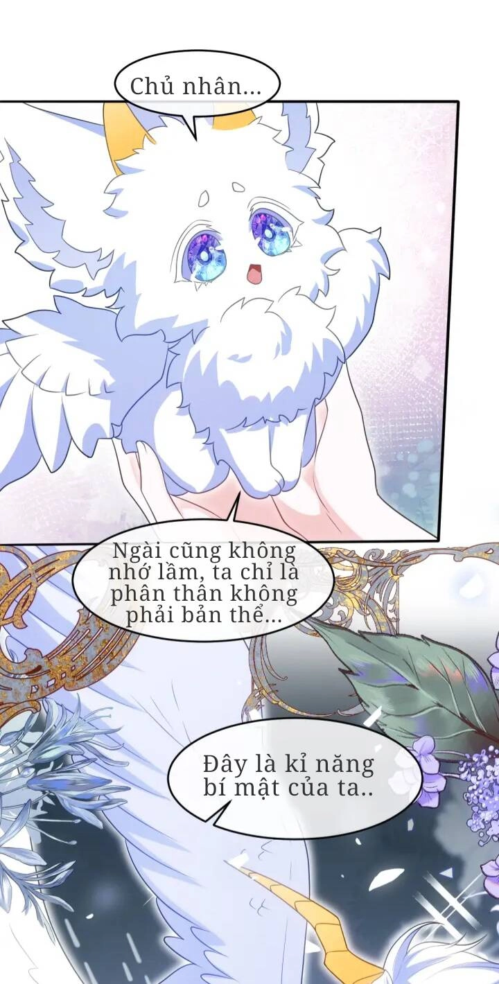 Trở Thành Đoàn Sủng Về Sau, Ta Đại Sát Tứ Phương Chapter 5 - 9