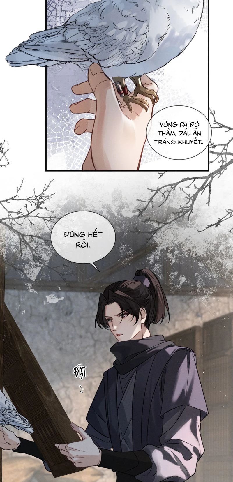 Lang Kỵ Trúc Mã Lai Chapter 64 - 19