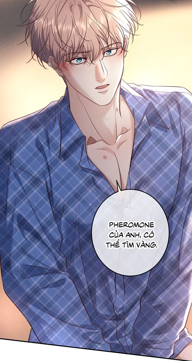 Đêm Tình Yêu Và Sát Ý Chapter 82 - 19