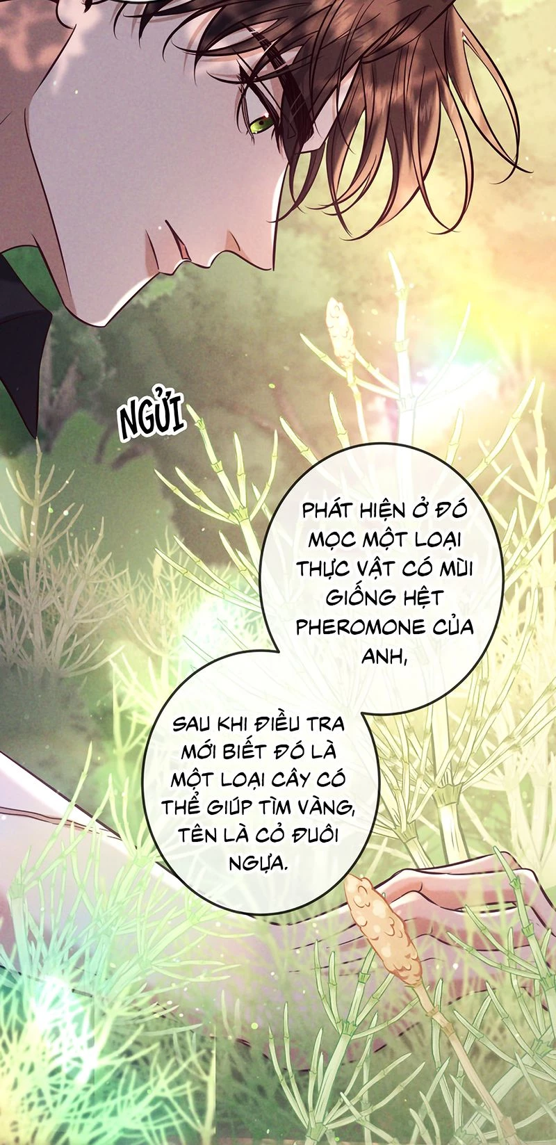 Đêm Tình Yêu Và Sát Ý Chapter 82 - 28