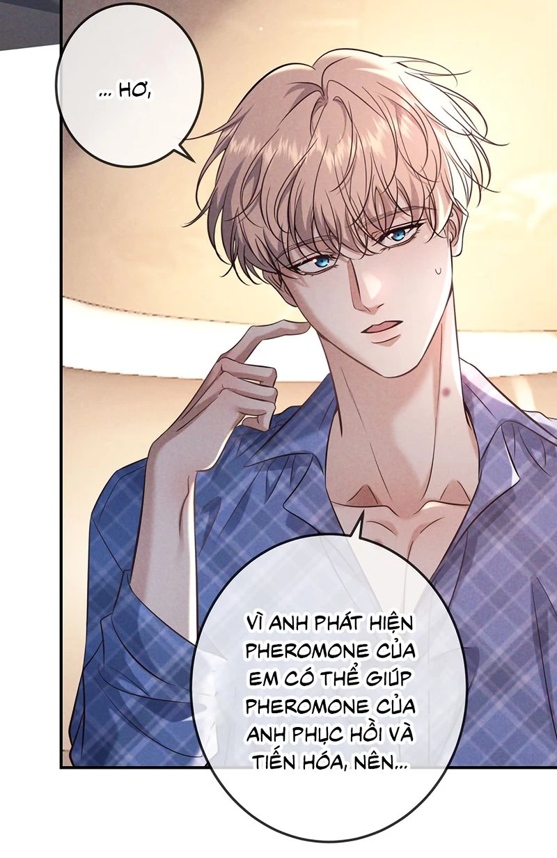 Đêm Tình Yêu Và Sát Ý Chapter 82 - 37