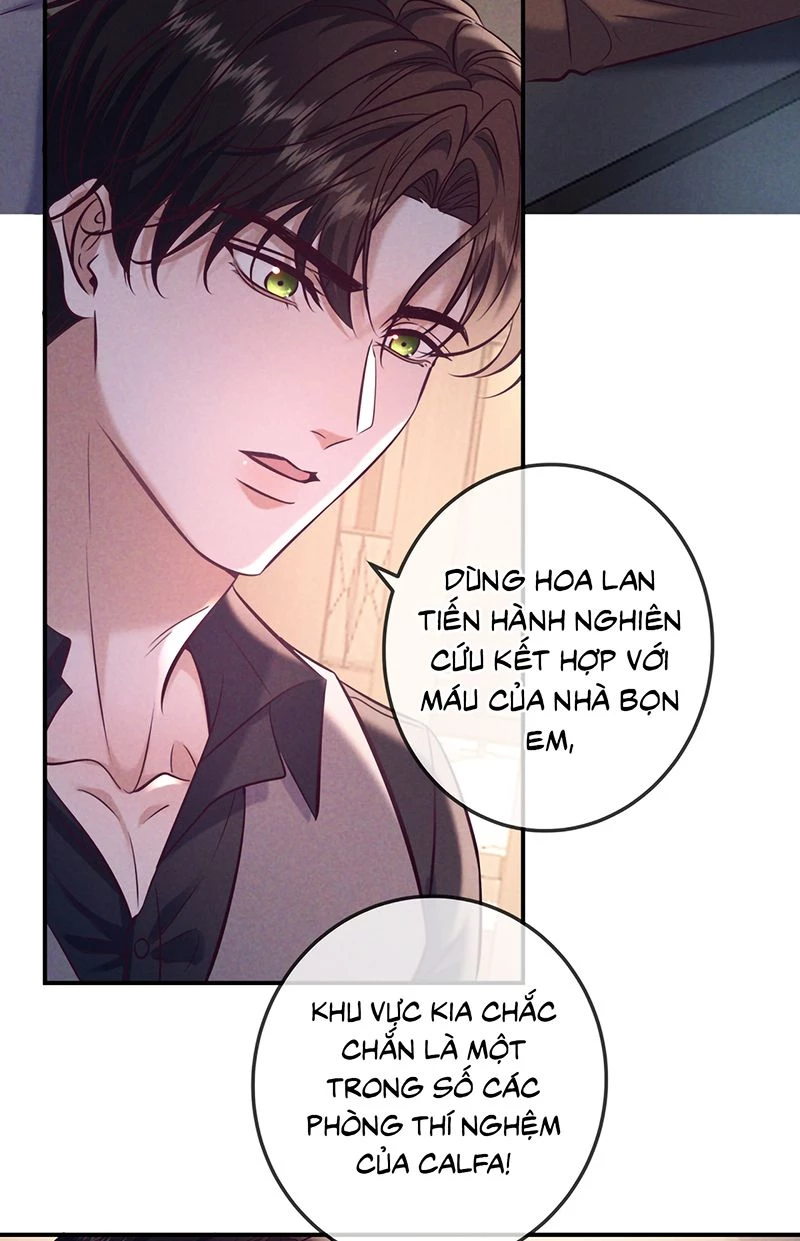 Đêm Tình Yêu Và Sát Ý Chapter 86 - 45