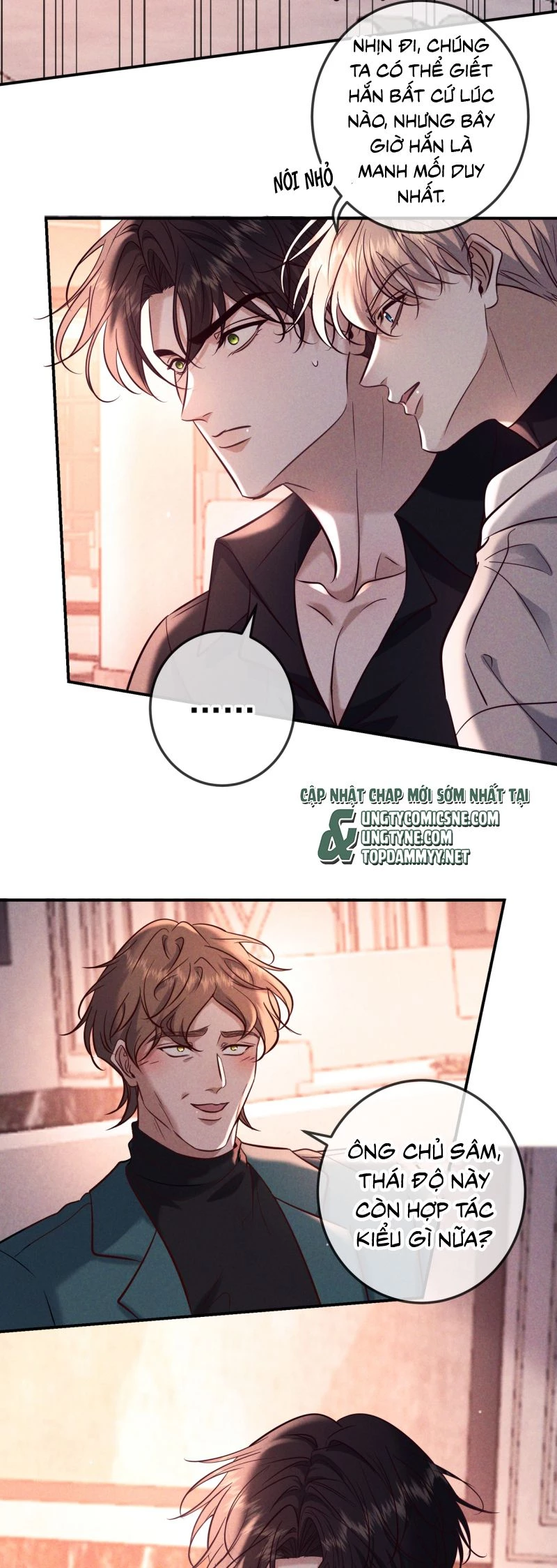 Đêm Tình Yêu Và Sát Ý Chapter 81 - 17