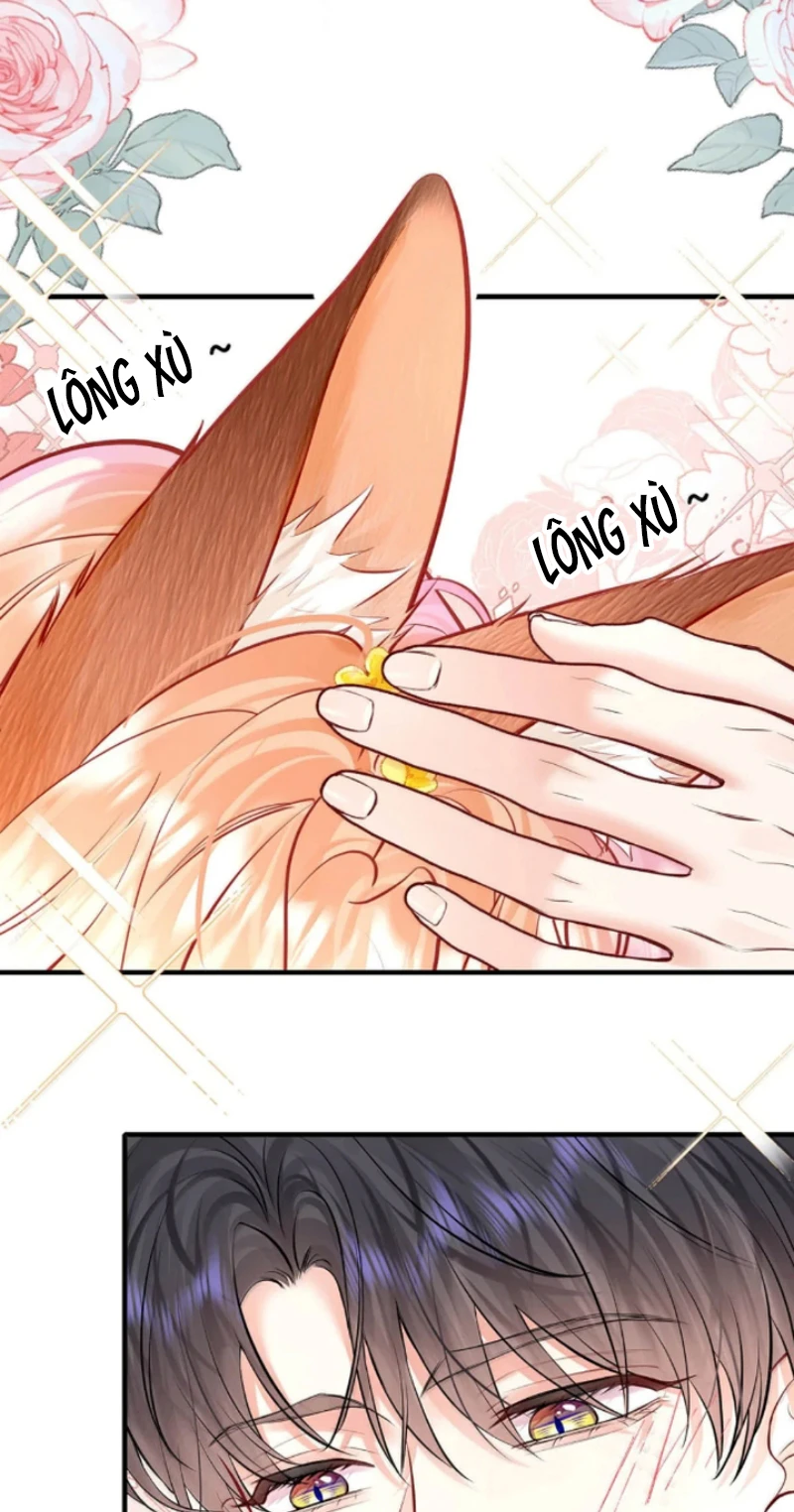 Công Lược Đối Tượng! Hình Tượng Của Cậu Sập Rồi! Chapter 59 - 20