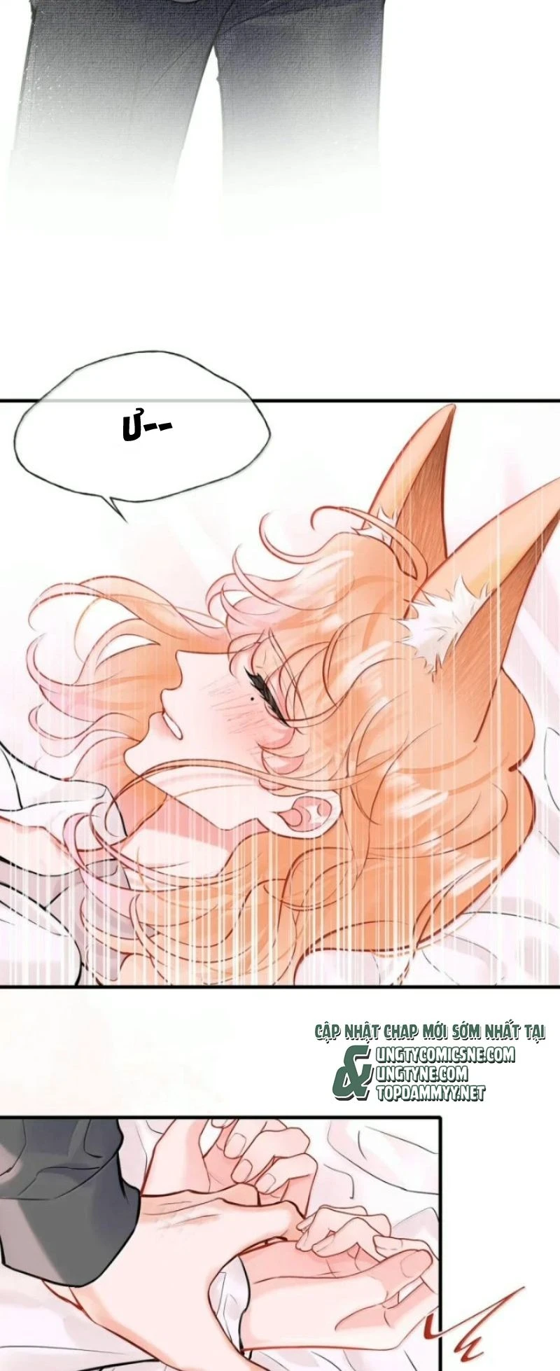 Công Lược Đối Tượng! Hình Tượng Của Cậu Sập Rồi! Chapter 72 - 22