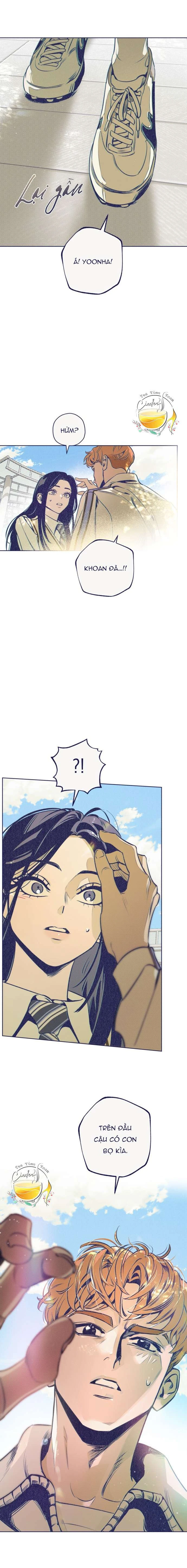 Trắc Nghiệm 4 Lựa Chọn Chapter 5 - 9