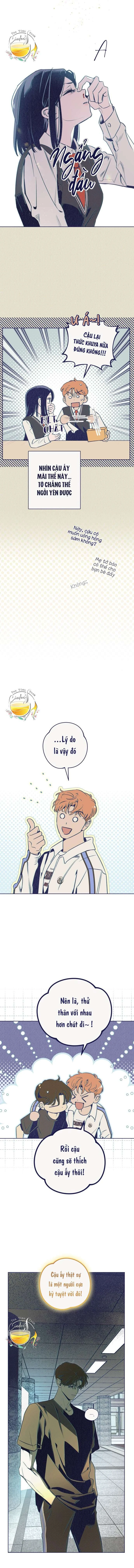 Trắc Nghiệm 4 Lựa Chọn Chapter 6 - 4