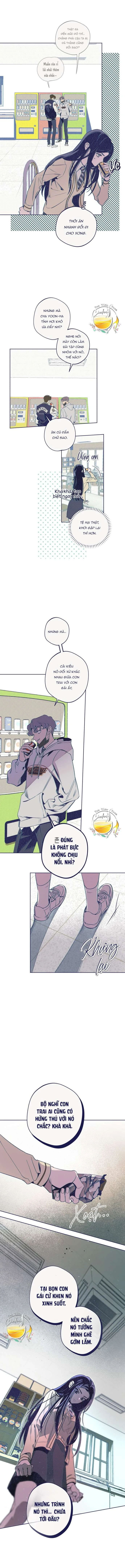 Trắc Nghiệm 4 Lựa Chọn Chapter 6 - 13