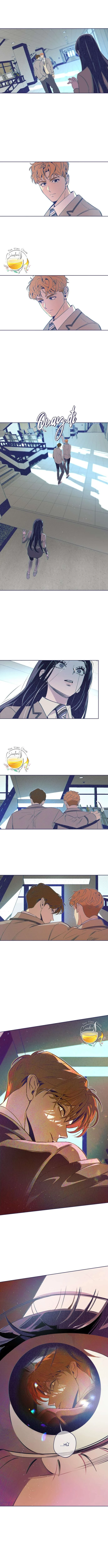 Trắc Nghiệm 4 Lựa Chọn Chapter 8 - 12