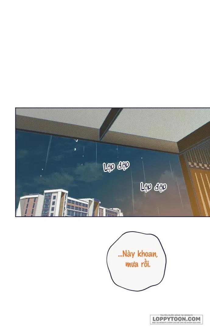 Trắc Nghiệm 4 Lựa Chọn Chapter 11 - 37