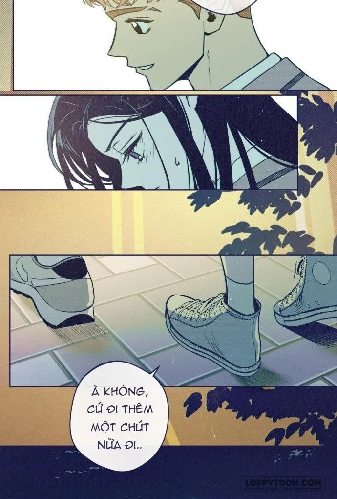 Trắc Nghiệm 4 Lựa Chọn Chapter 15 - 13