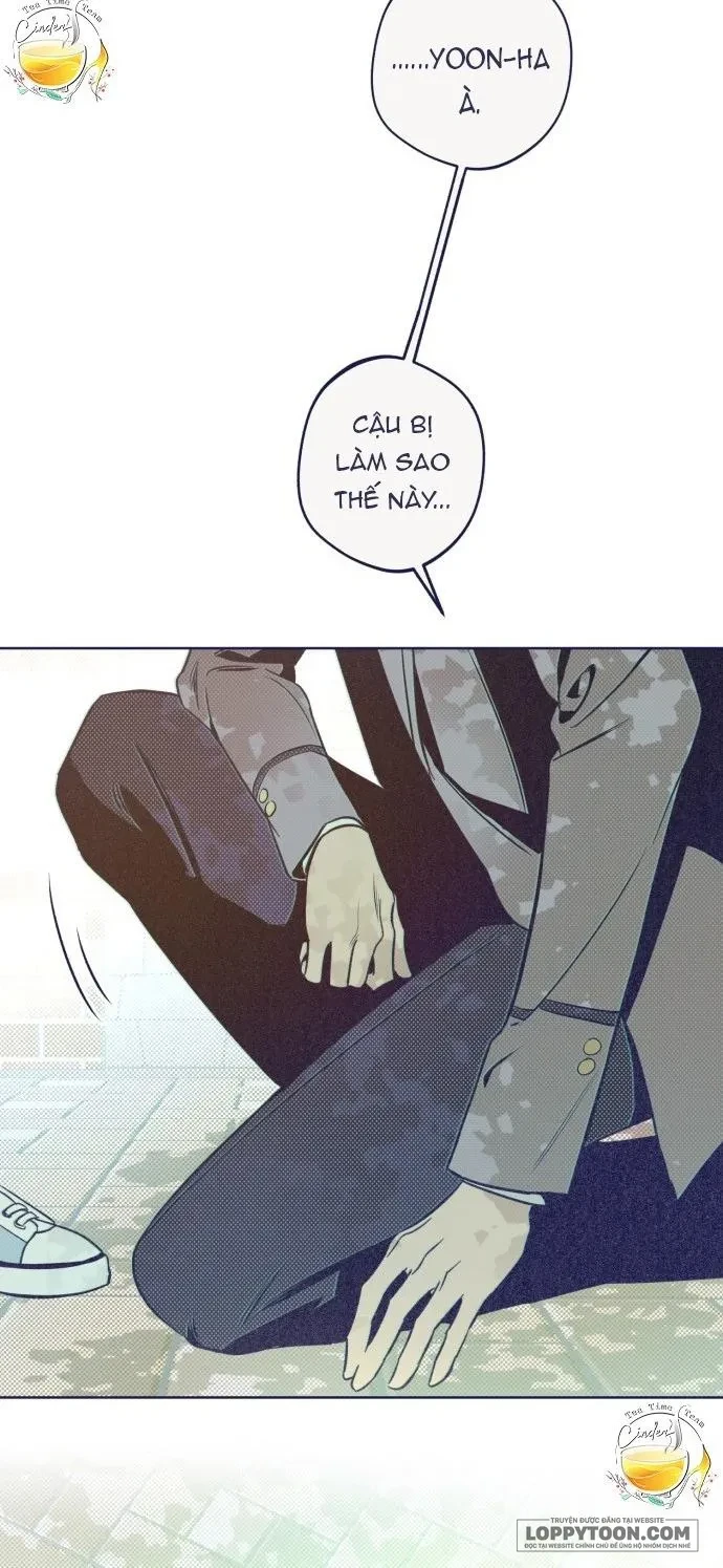 Trắc Nghiệm 4 Lựa Chọn Chapter 15 - 24
