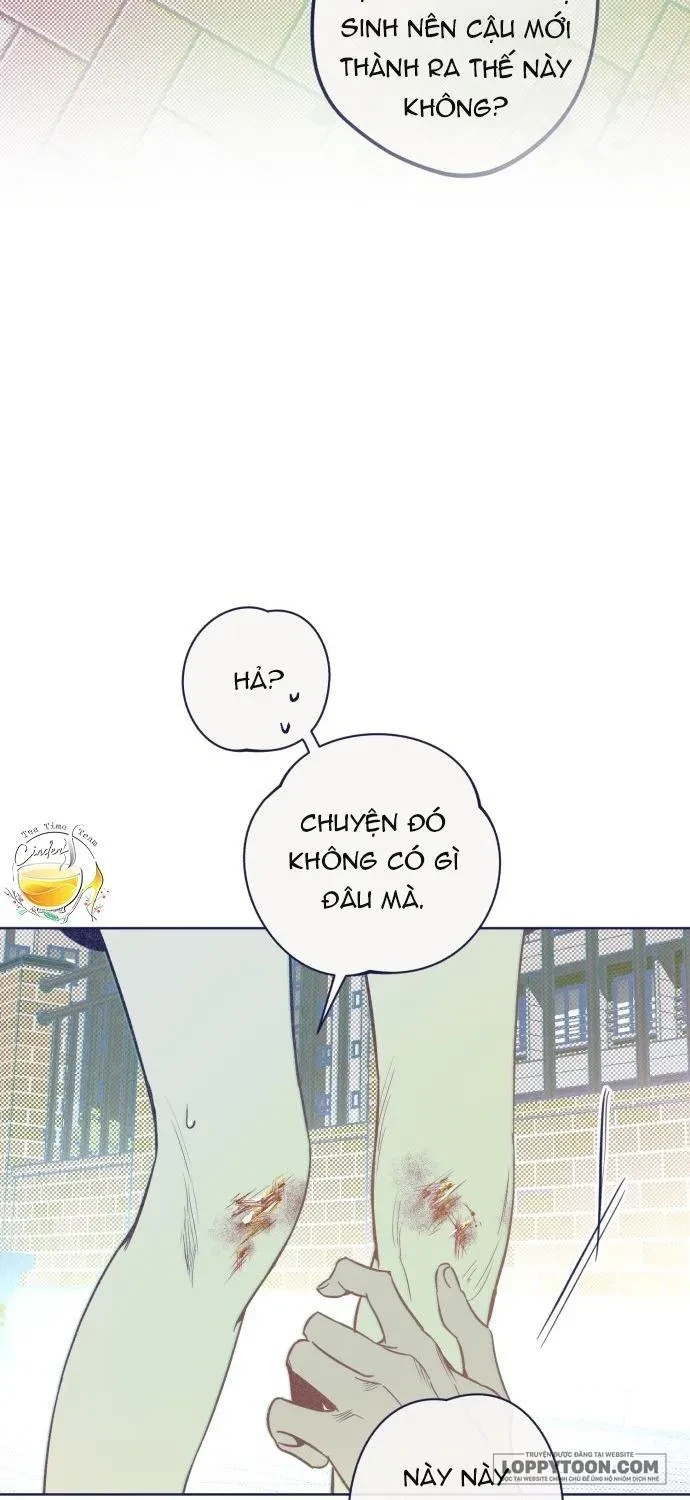 Trắc Nghiệm 4 Lựa Chọn Chapter 15 - 26