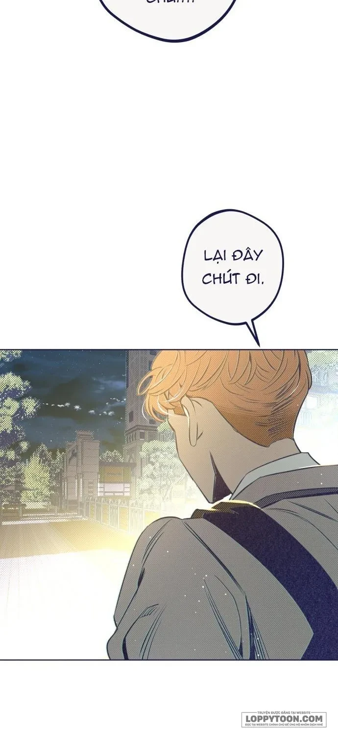 Trắc Nghiệm 4 Lựa Chọn Chapter 15 - 29