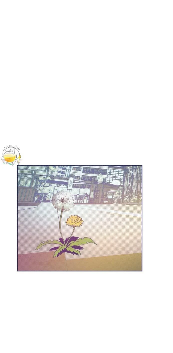 Trắc Nghiệm 4 Lựa Chọn Chapter  16 - 2